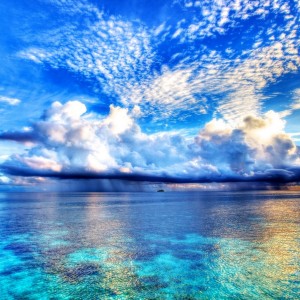 -2048x2048_e69933d38c766ee5c8b7c0180627d74a_raw