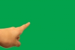 指