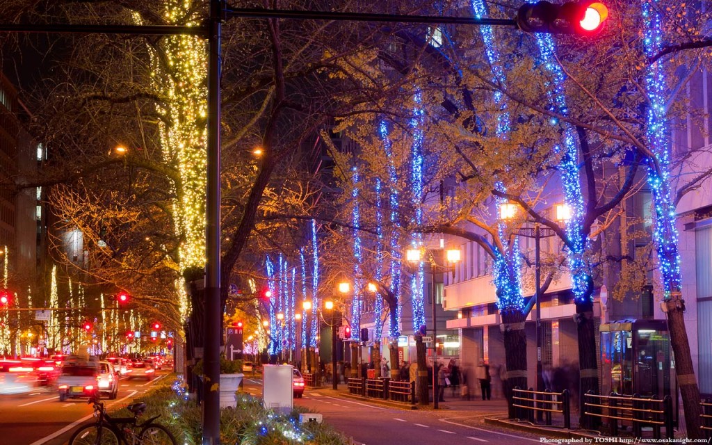 midosuji_illumination09_08w